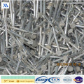 Bright Polished Common Iron Nails (XA-WN5)